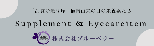 株式会社ブルーベリー